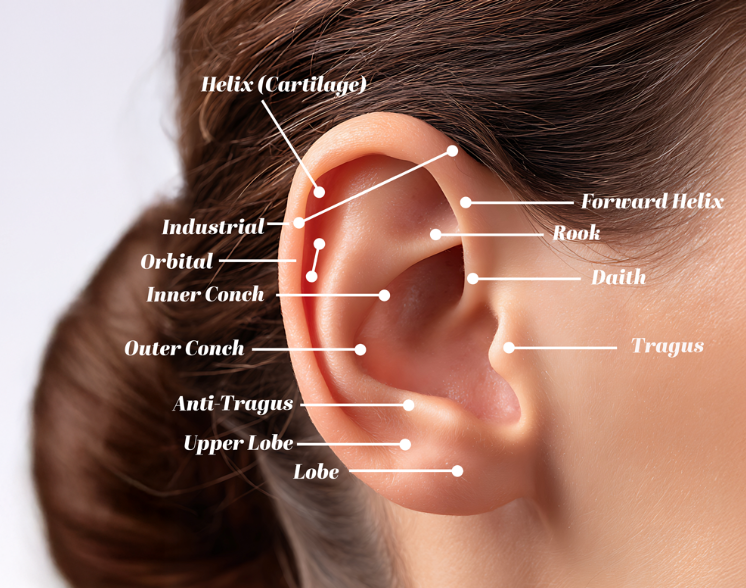 Helix vs. Daith vs. Smiley: Which Cartilage & Lip Piercing Is Right for You in 2026?