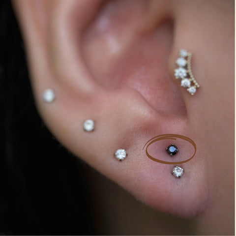 Piercing Trends
