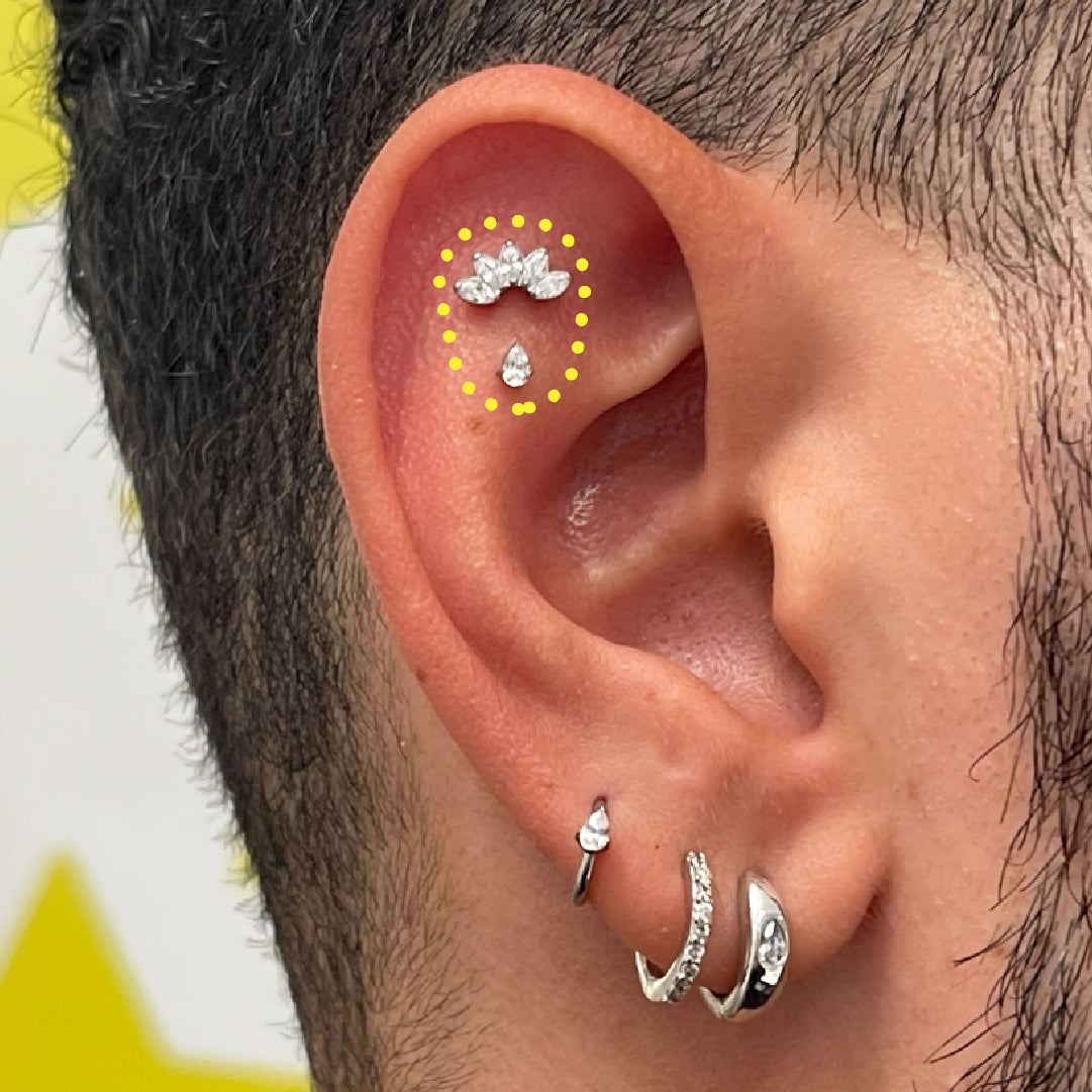Piercing Trends