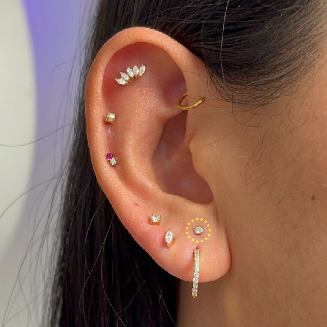2026 Piercing Trends: The Rise of Constellation Ear Piercings and What You Need to Know