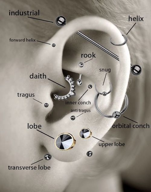 Ear piercing map: Constellation piercings & locations - Piercing Pals