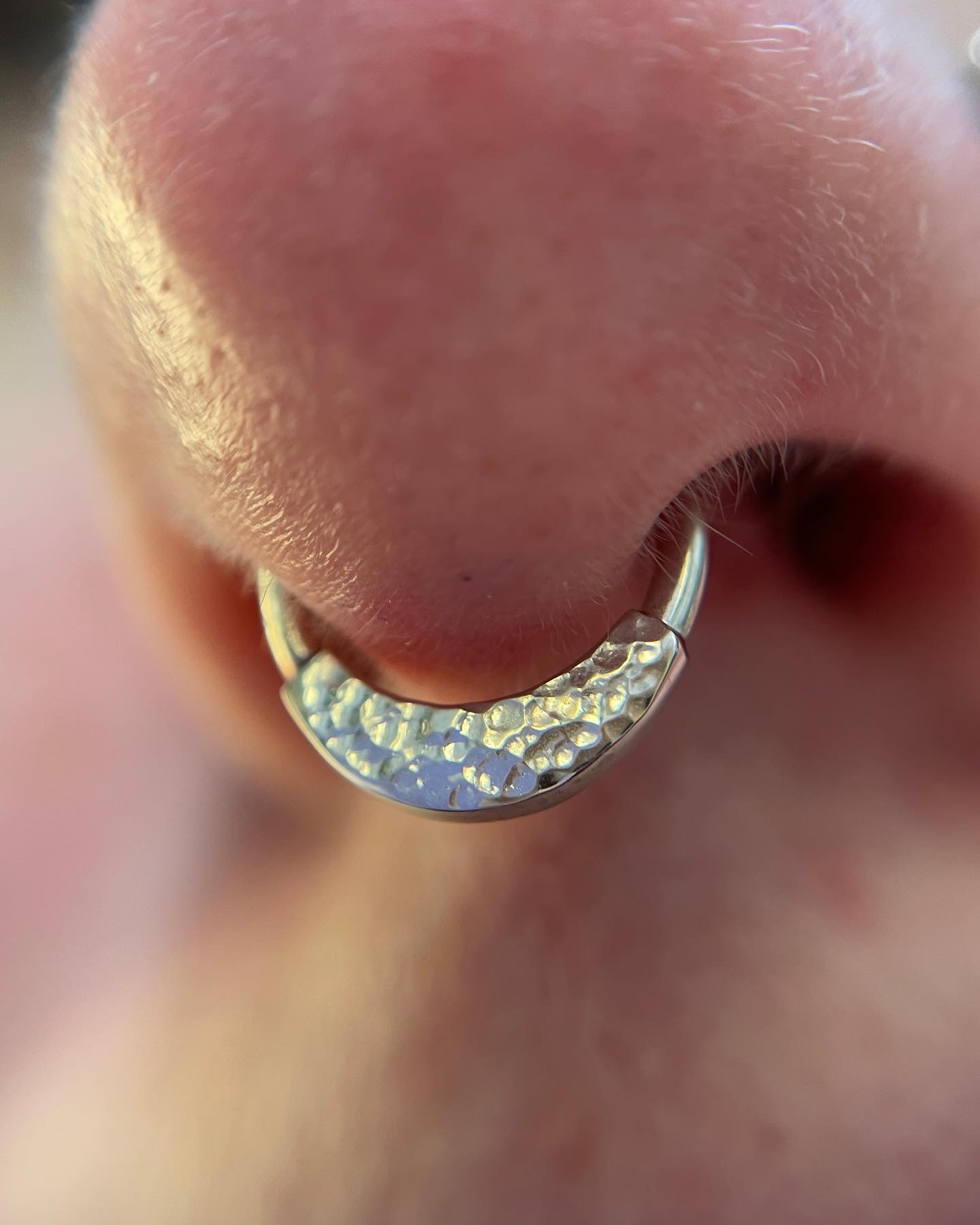 Infographic detailing the healing timeline of a septum piercing